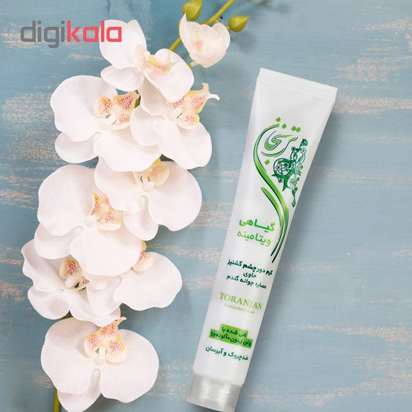 کرم دور چشم شب ترنجان مدل Coriander حجم 20 میلی لیتر بسته 2 عددی