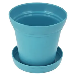 مجموعه کاشت گل همیشه بهار گلباران سبز