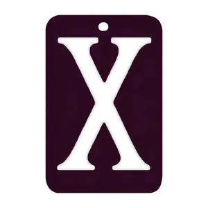 خوشبو کننده خودرو طرح ایکس کد PX1
