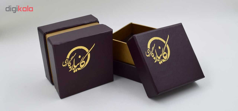 سنجاق سینه طلا 18 عیار زنانه کانیار گالری کد SAN4 سنجاق سینه طلا 18 عیار زنانه کانیار گالری کد SAN4