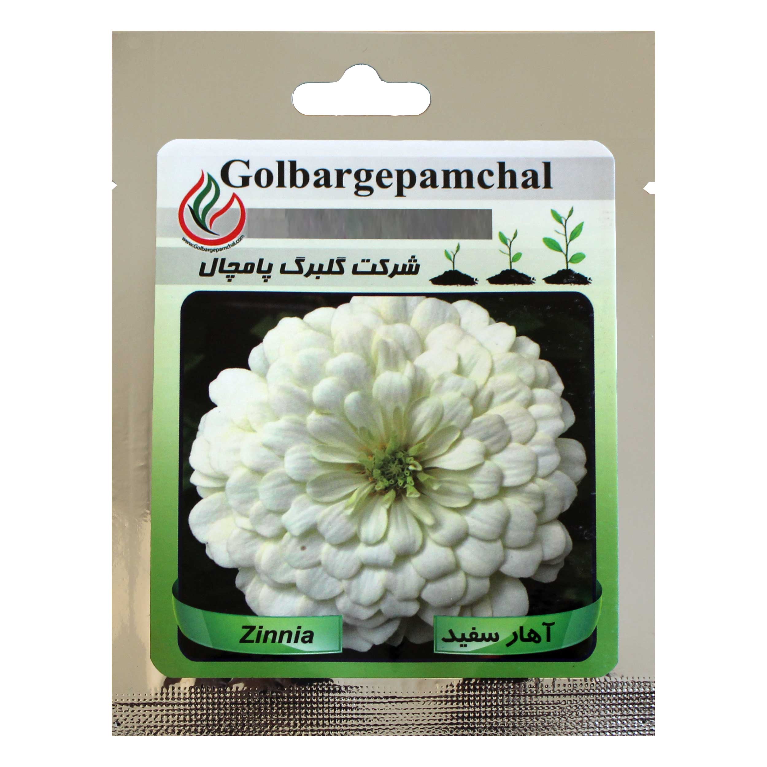 بذر گل آهار سفید گلبرگ پامچال کد GPF-002