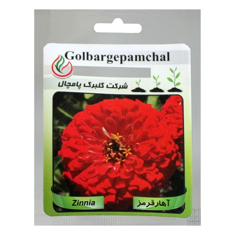بذر گل آهار قرمز گلبرگ پامچال کد GPF-003