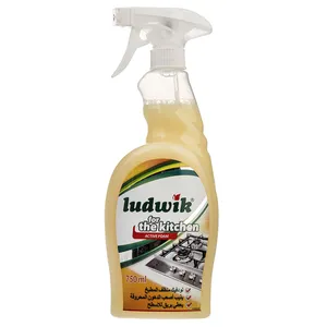 اسپری گاز پاک کن لودویک مدل Active Foam حجم 750 میلی لیتر