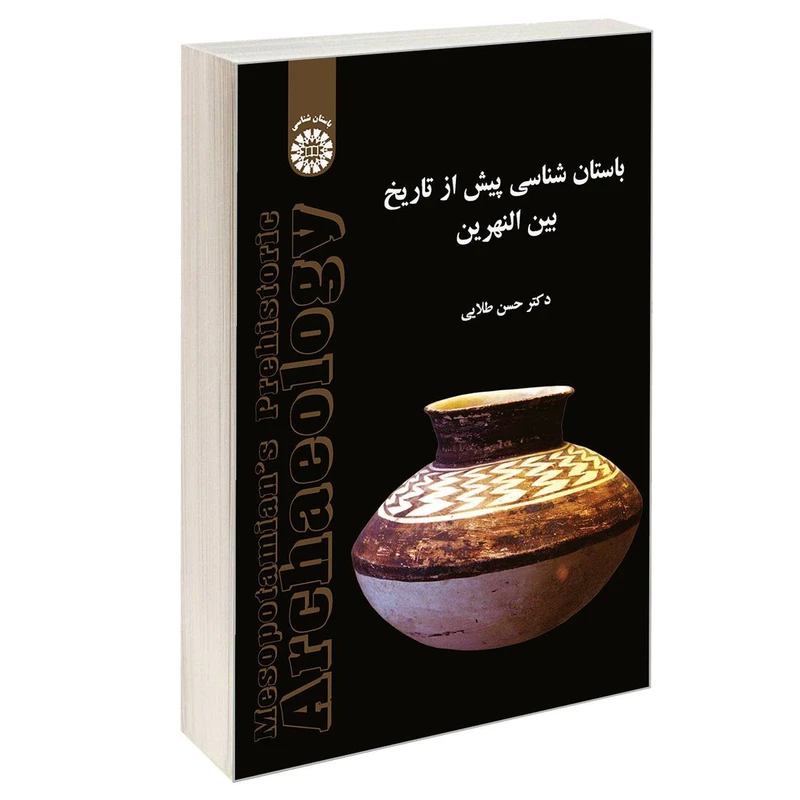 کتاب باستان شناسی پیش از تاریخ بینالنهرین اثر دکتر حسن طلایی نشر سمت