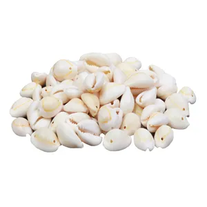 صدف تزئینی کد 5432 وزن 100 گرم