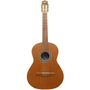 گیتار کلاسیک ایران ساز مدل S610