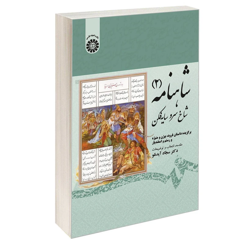 کتاب شاهنامه 2 شاخ سرو سایه فکن اثر دکتر سجاد آیدنلو نشر سمت