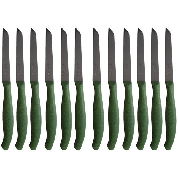 کارد میوه خوری مدل R44 کد 948  