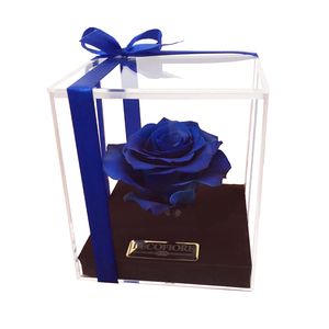 نقد و بررسی گل رز جاودان دکوفیوره مدل BlueLove توسط خریداران