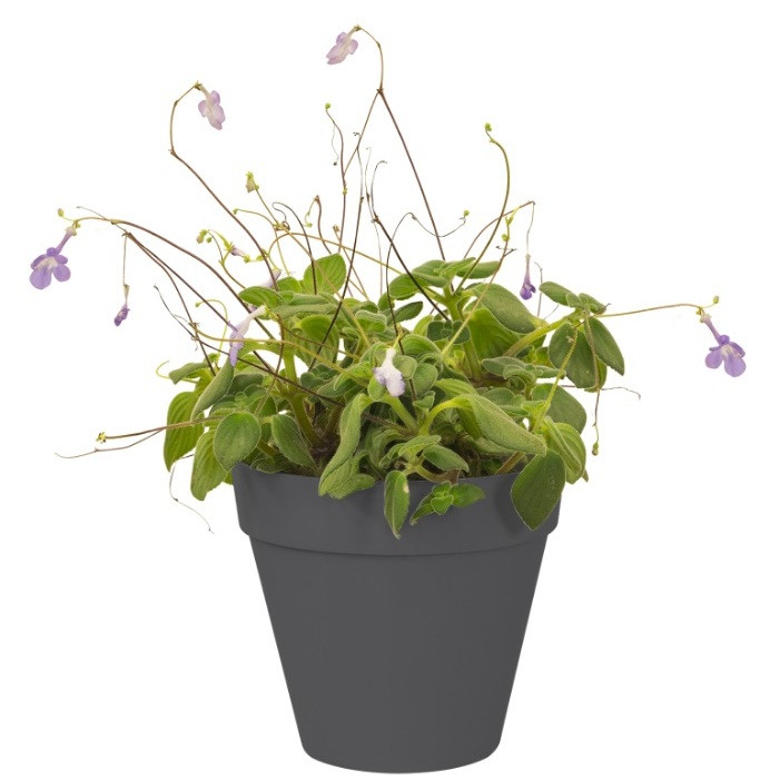 گلدان مدل GRW15