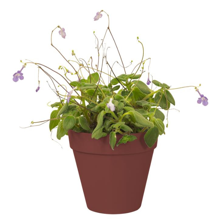 گلدان مدل GRW15