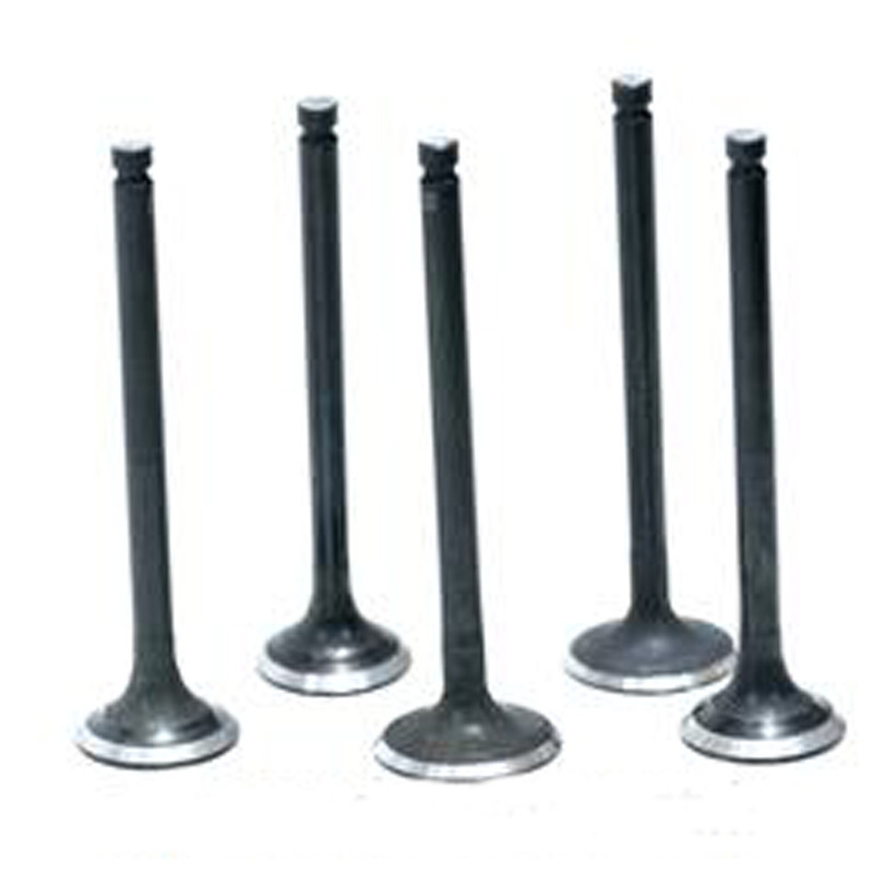 سوپاپ استیم کد 13205 مناسب برای پژو 405 بسته 8 عددی