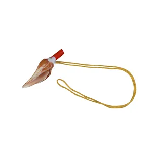  سوت طرح حلزون کد 326