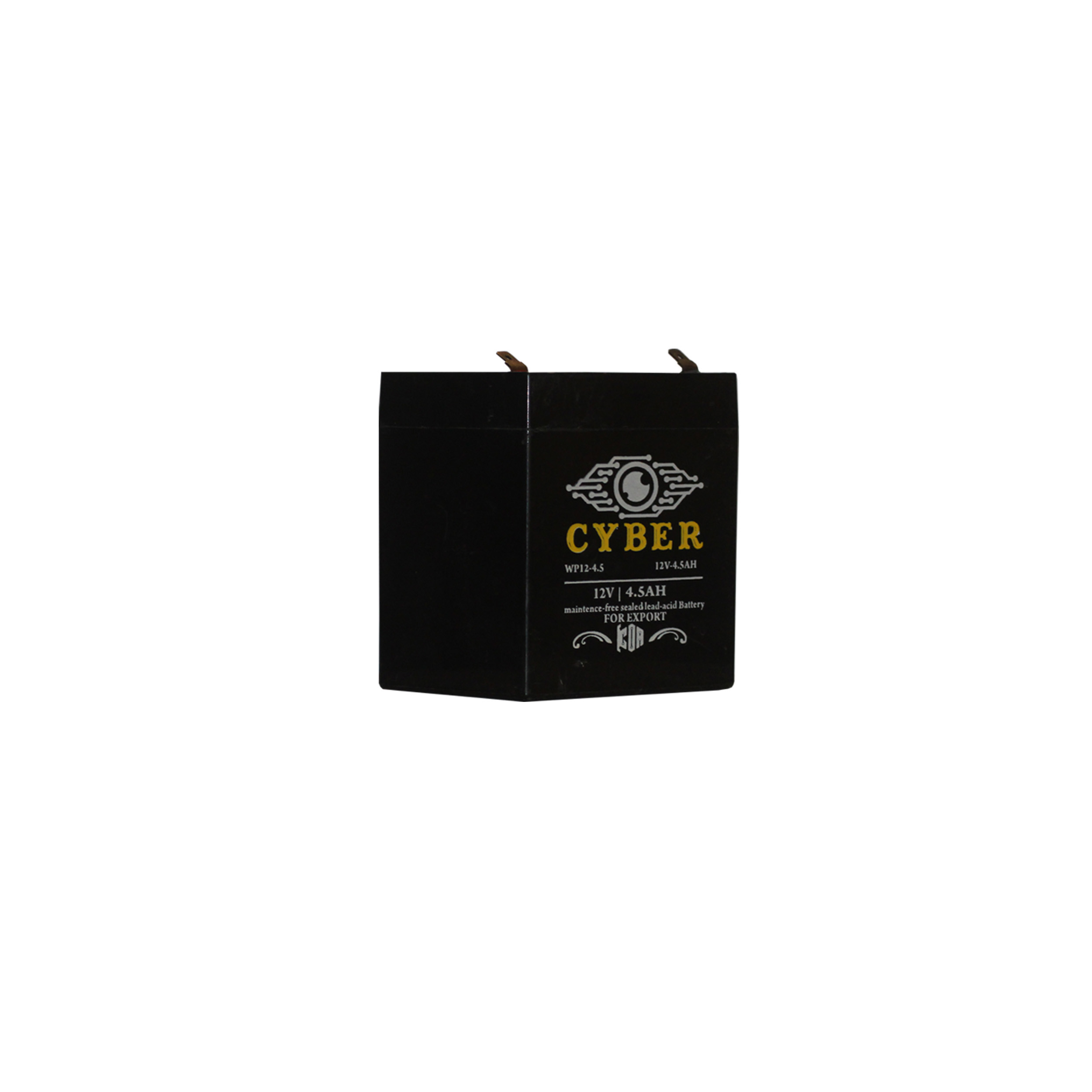 دزدگیر اماکن پروتکت مدل PS100R3