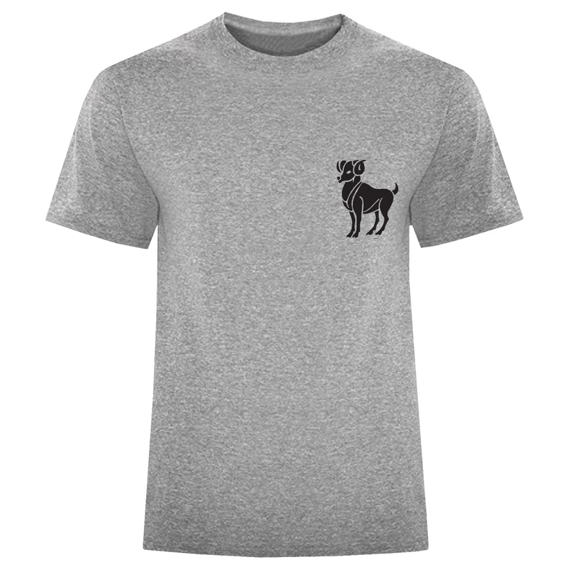 تیشرت آستین کوتاه مردانه طرح فروردین کد F95