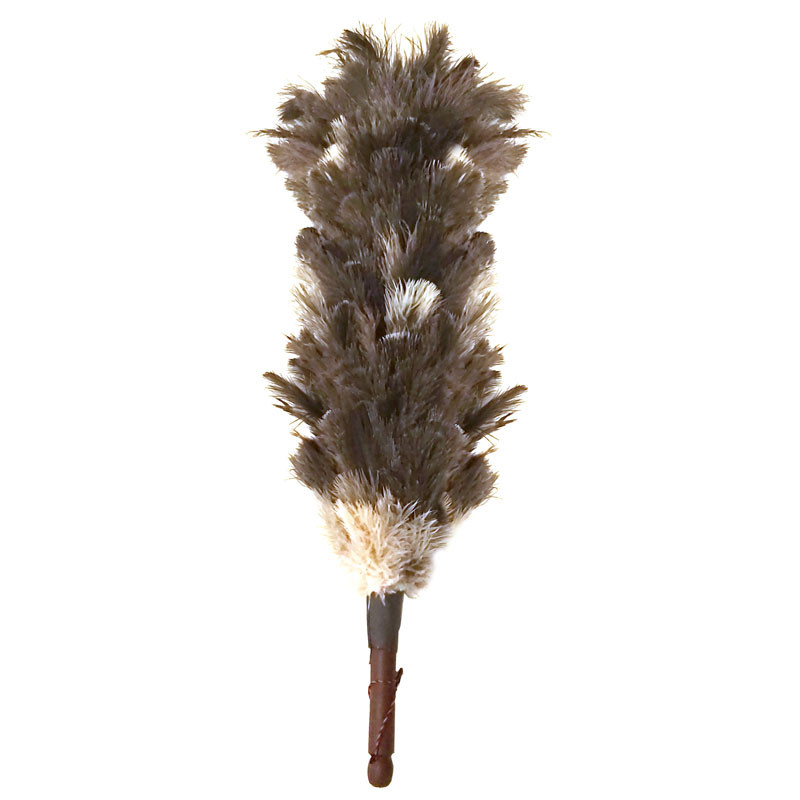 گردگیر مدل ۰۱ Feather world 