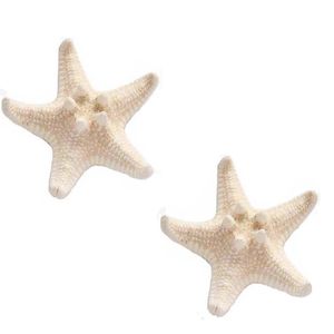 نقد و بررسی ستاره دریایی مدل sma6 مجموعه 2 عددی توسط خریداران