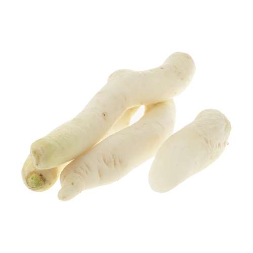 ترب سفید بلوط - 1 کیلوگرم