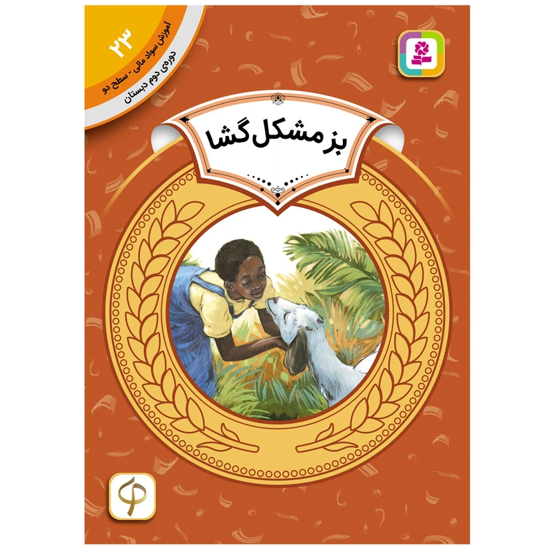 کتاب آموزش سواد مالی سطح دو بز مشکل گشا اثرپیچ مک برایر انتشارات قدیانی