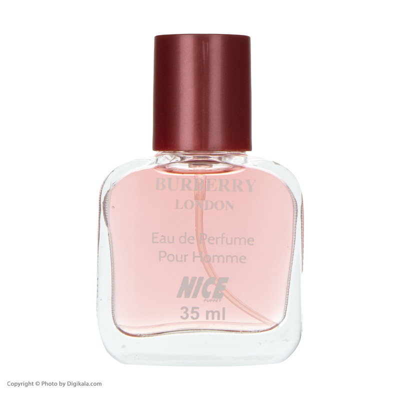 عطر جیبی مردانه نایس مدلBurberry حجم 35 میلی لیتر