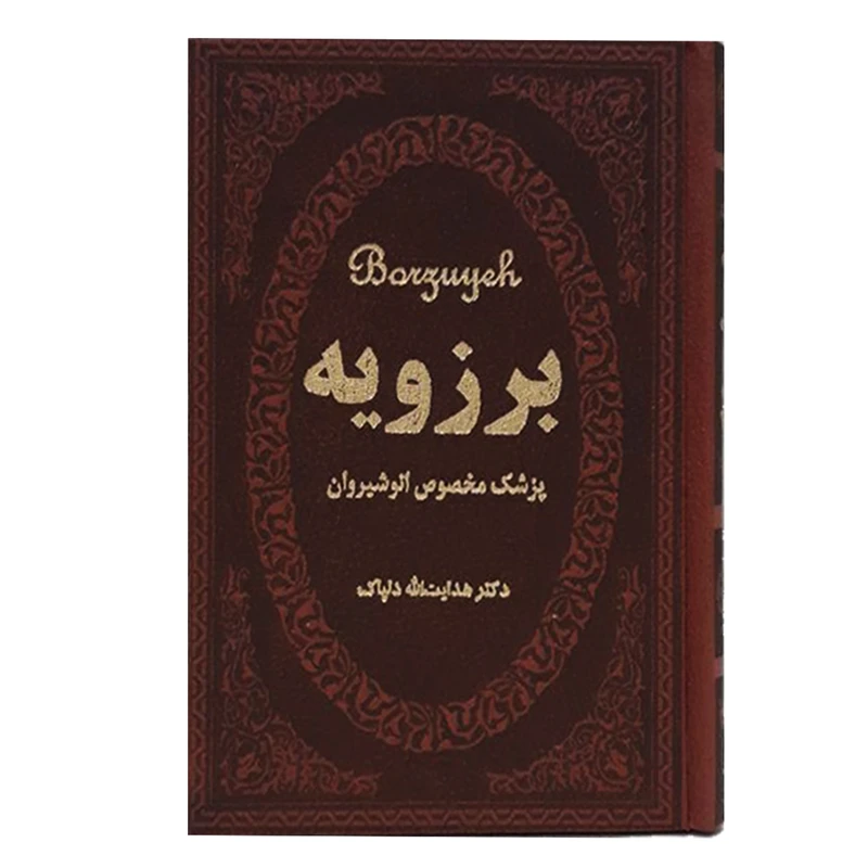کتاب برزویه اثر هدایت اله دلپاک انتشارات پارمیس