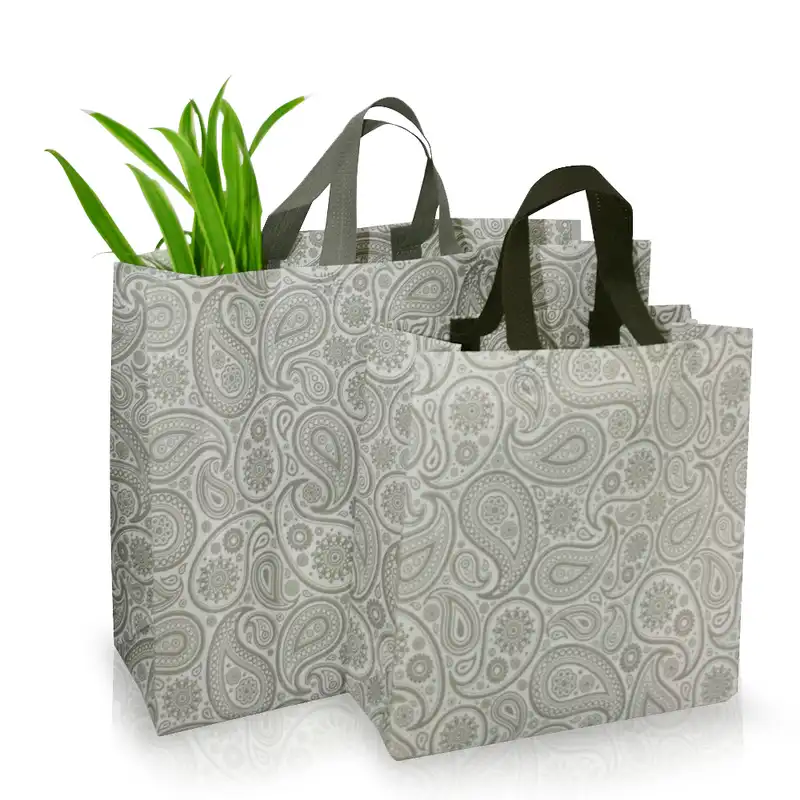 ساک خرید طرح بته جقه کد 662