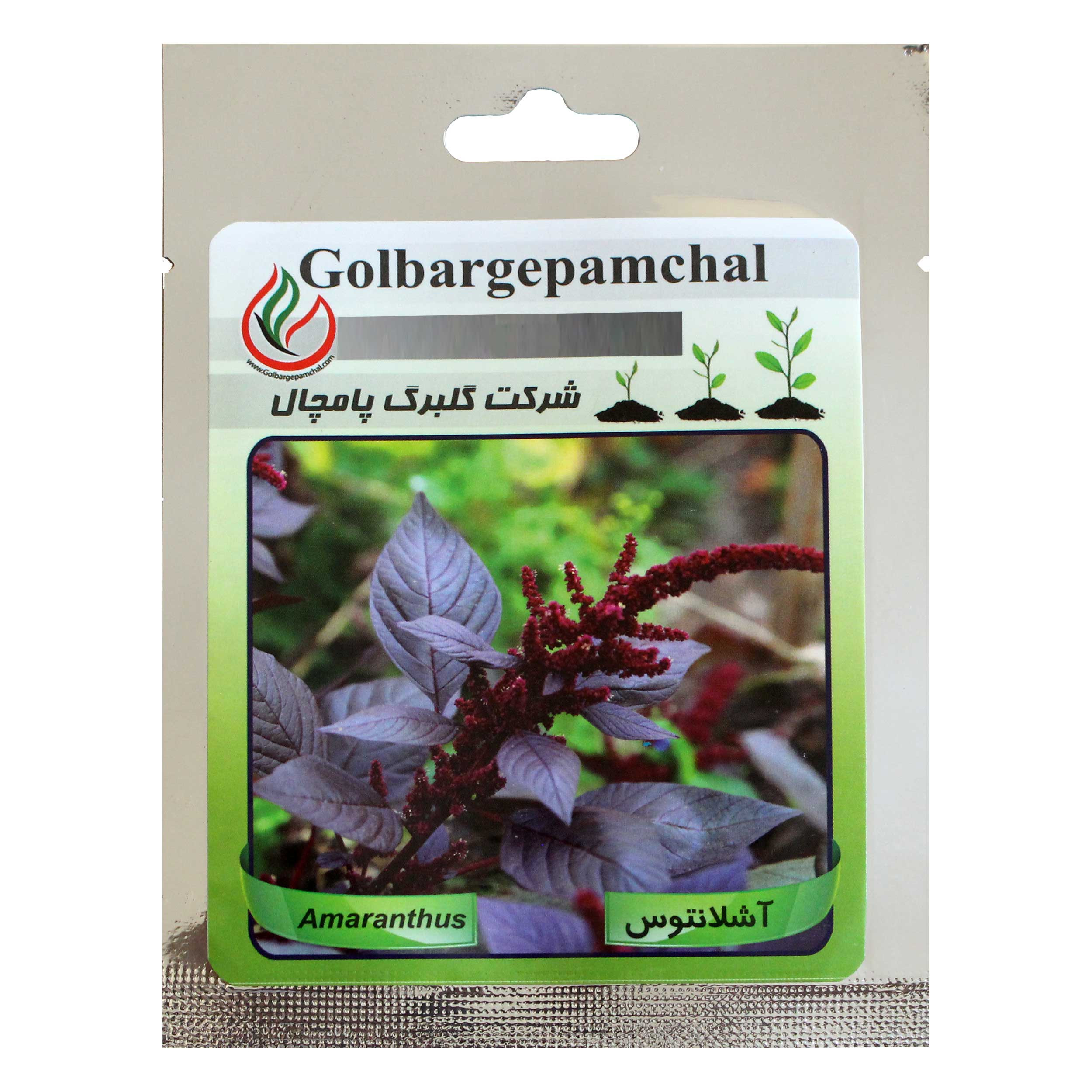 بذر گل آشلانتوس گلبرگ پامچال کد GPF-009