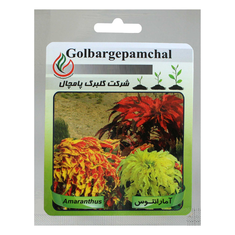 بذر گل آمارانتوس گلبرگ پامچال کد GPF-010 بذر گل آمارانتوس گلبرگ پامچال کد GPF-010