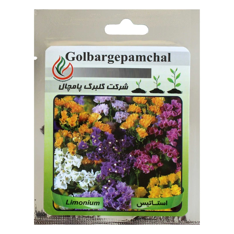 بذر گل استاتیس گلبرگ پامچال کد GPF-014