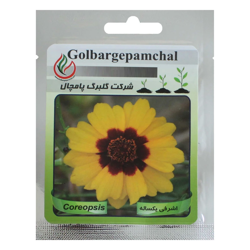 بذر گل اشرفی یکساله گلبرگ پامچال کد GPF-016