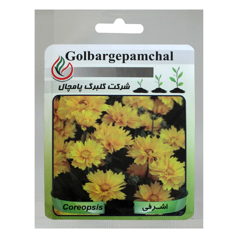 بذر گل اشرفی گلبرگ پامچال کد GPF-017