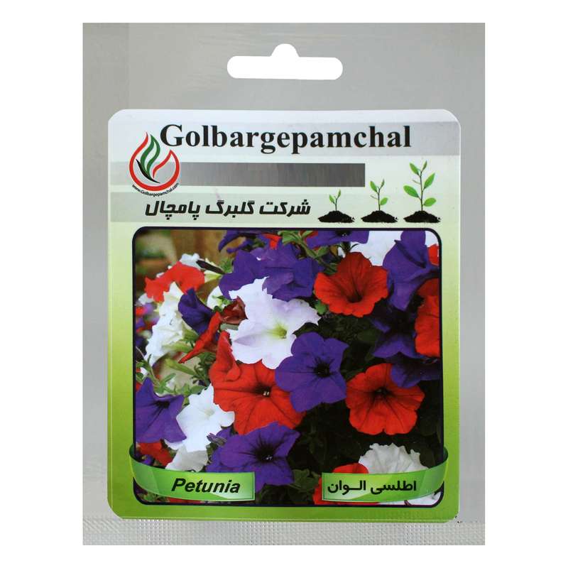 بذر گل اطلسی الوان گلبرگ پامچال کد GPF-019 بذر گل اطلسی الوان گلبرگ پامچال کد GPF-019