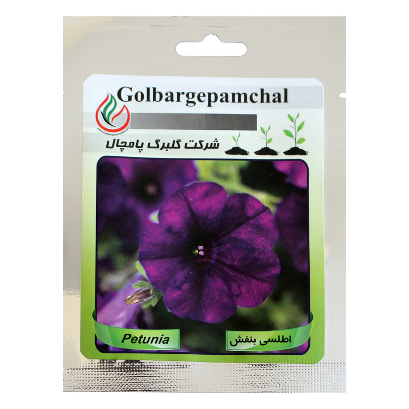 بذر گل اطلسی بنفش گلبرگ پامچال کد GPF-020