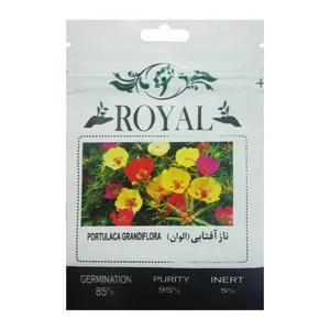 بذر گل ناز آفتابی الوان رویال مدل BZR-127