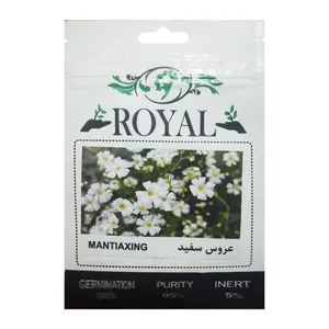  بذر گل عروس سفید رویال مدل BZR-121