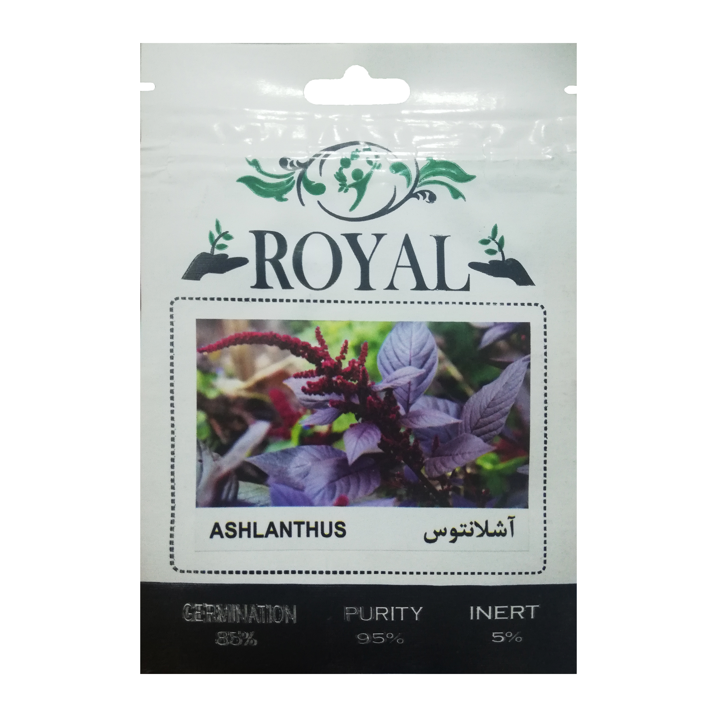 بذر گل آشلانتوس رویال مدل BZR-116