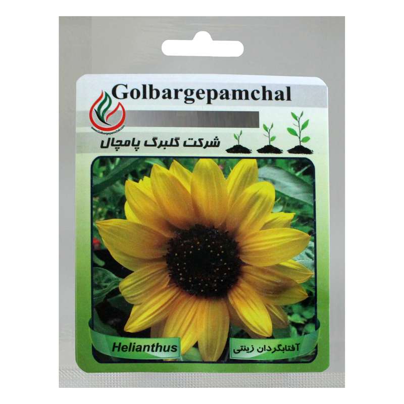 بذر گل آفتابگردان زینتی گلبرگ پامچال کد GPF-006