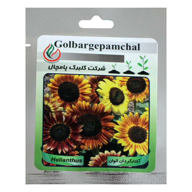 بذر گل آفتابگردان الوان گلبرگ پامچال کد GPF-007 بذر گل آفتابگردان الوان گلبرگ پامچال کد GPF-007