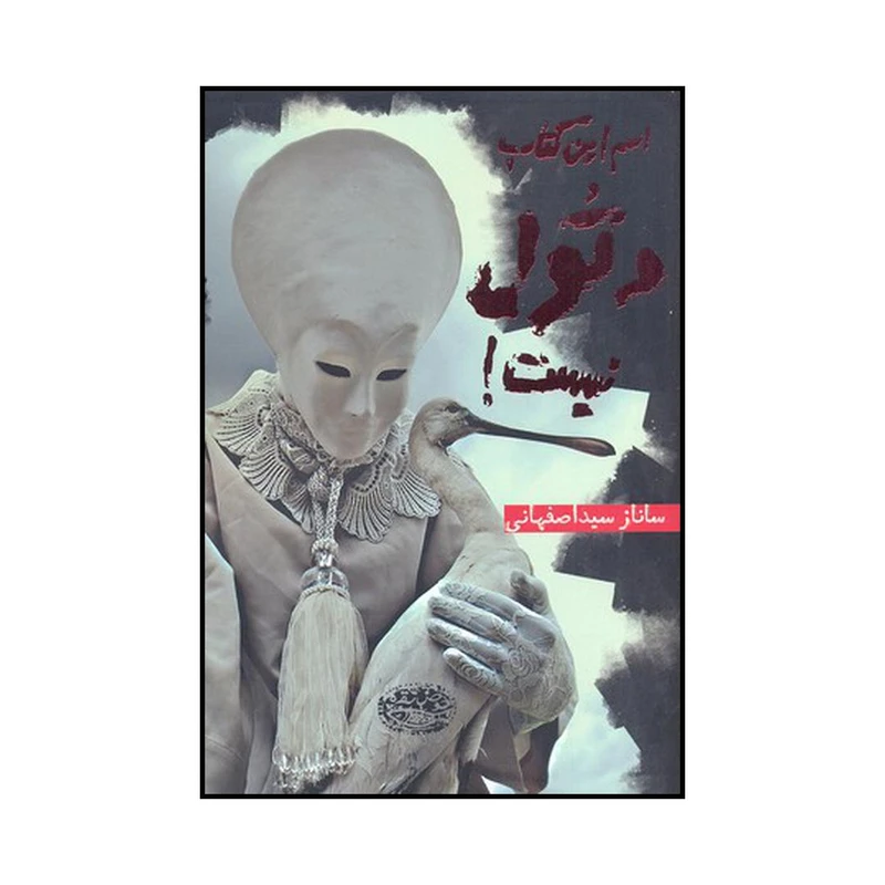 کتاب اسم این کتاب دتول نیست اثر ساناز سیداصفهانی انتشارات حوض نقره