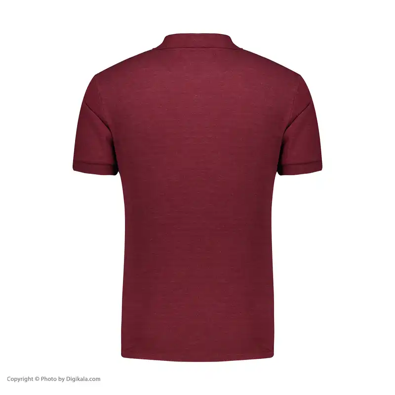 پولوشرت آستین کوتاه مردانه باینت کد 365-4