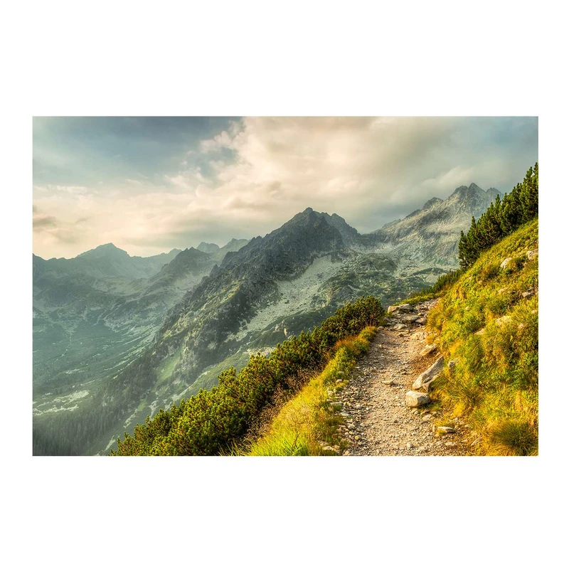 تابلو شاسی طرح طبیعت کد 6179