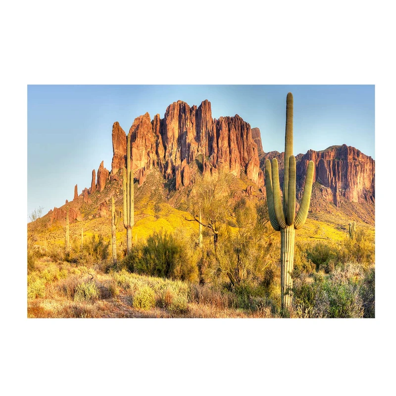 تابلو شاسی طرح صحرا کد 6182