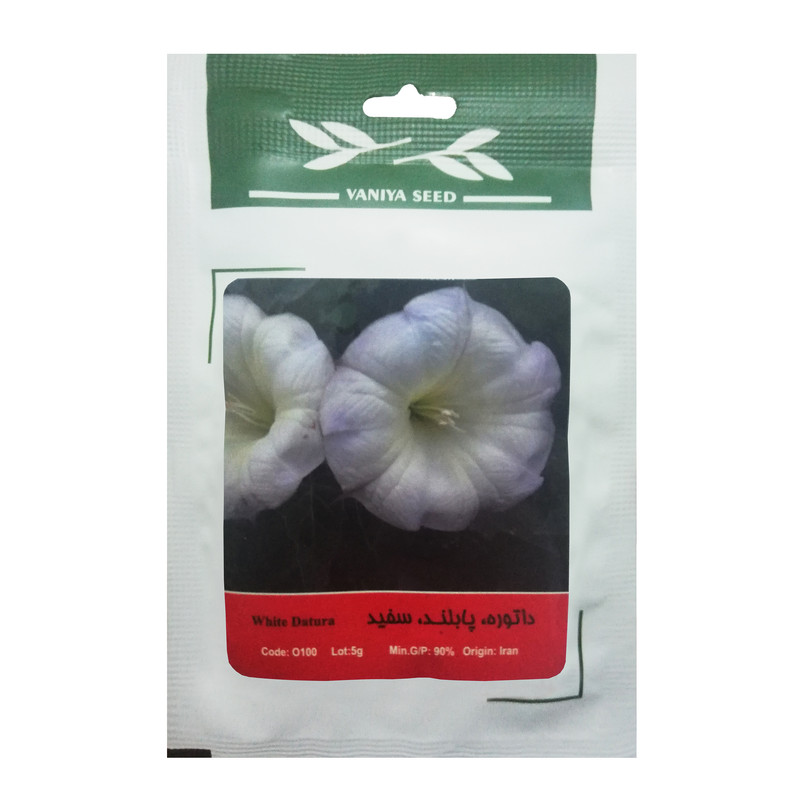 بذر گل داتوره پابلند سفید وانیا سید مدل O100