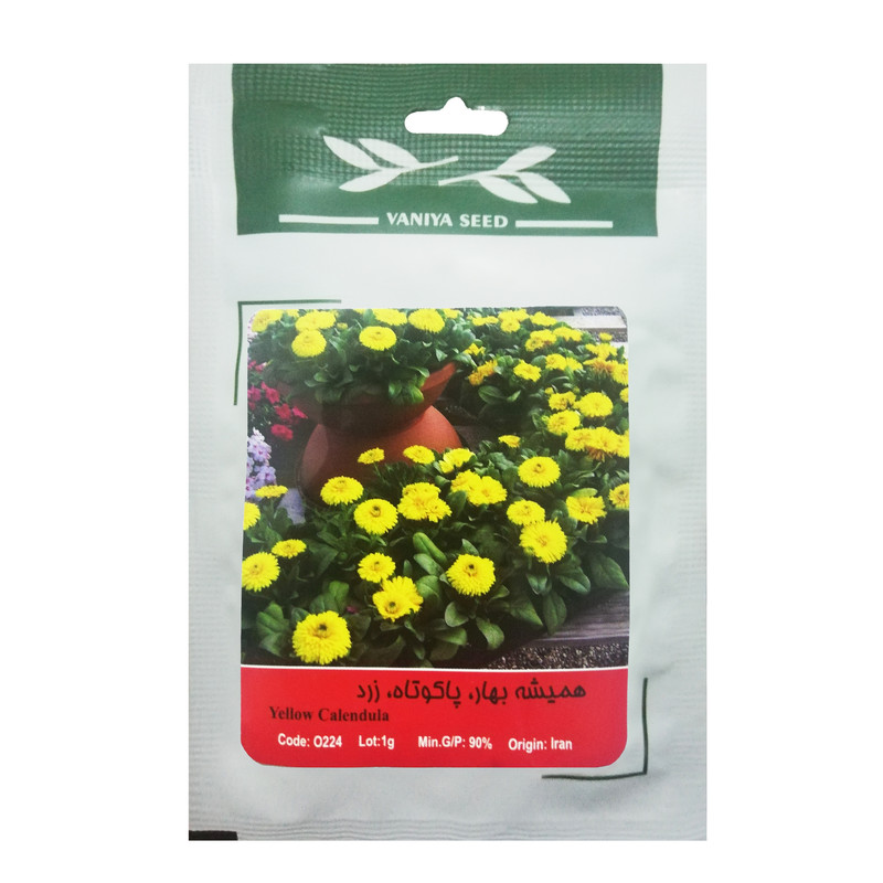 بذر گل همیشه بهار پا کوتاه زرد وانیا سید مدل O224