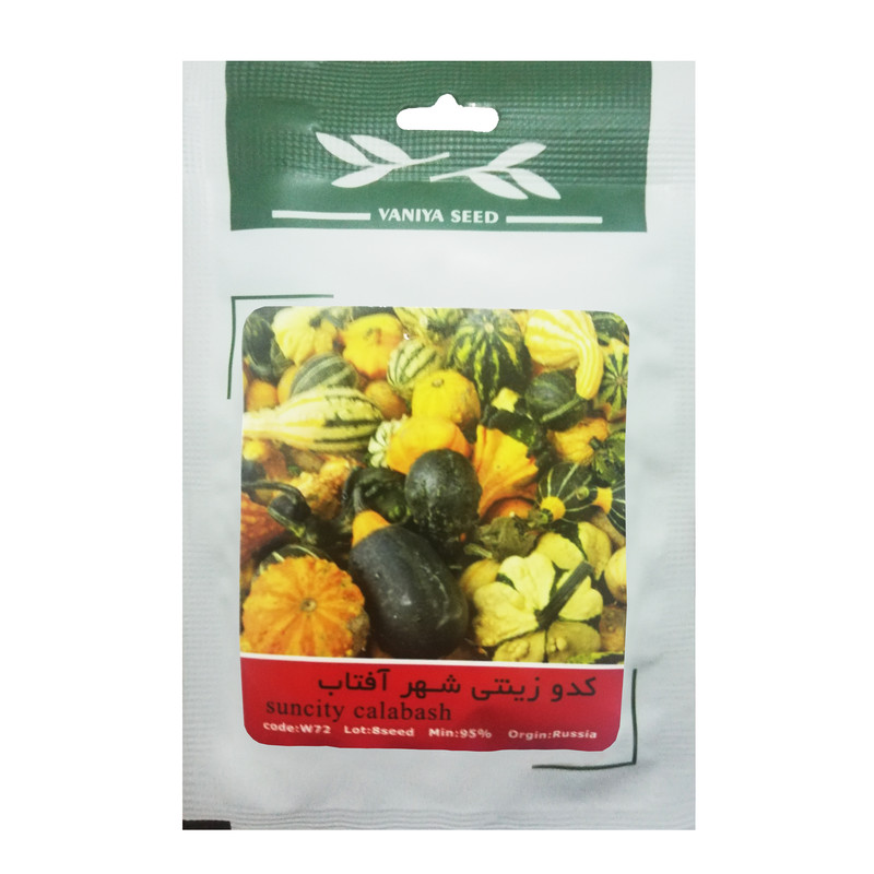بذر کدو زینتی شهر آفتاب وانیا سید مدل W72 بذر کدو زینتی شهر آفتاب وانیا سید مدل W72