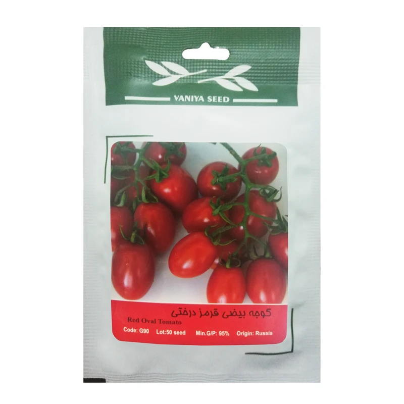  بذر گوجه بیضی قرمز درختی وانیا سید مدل G90