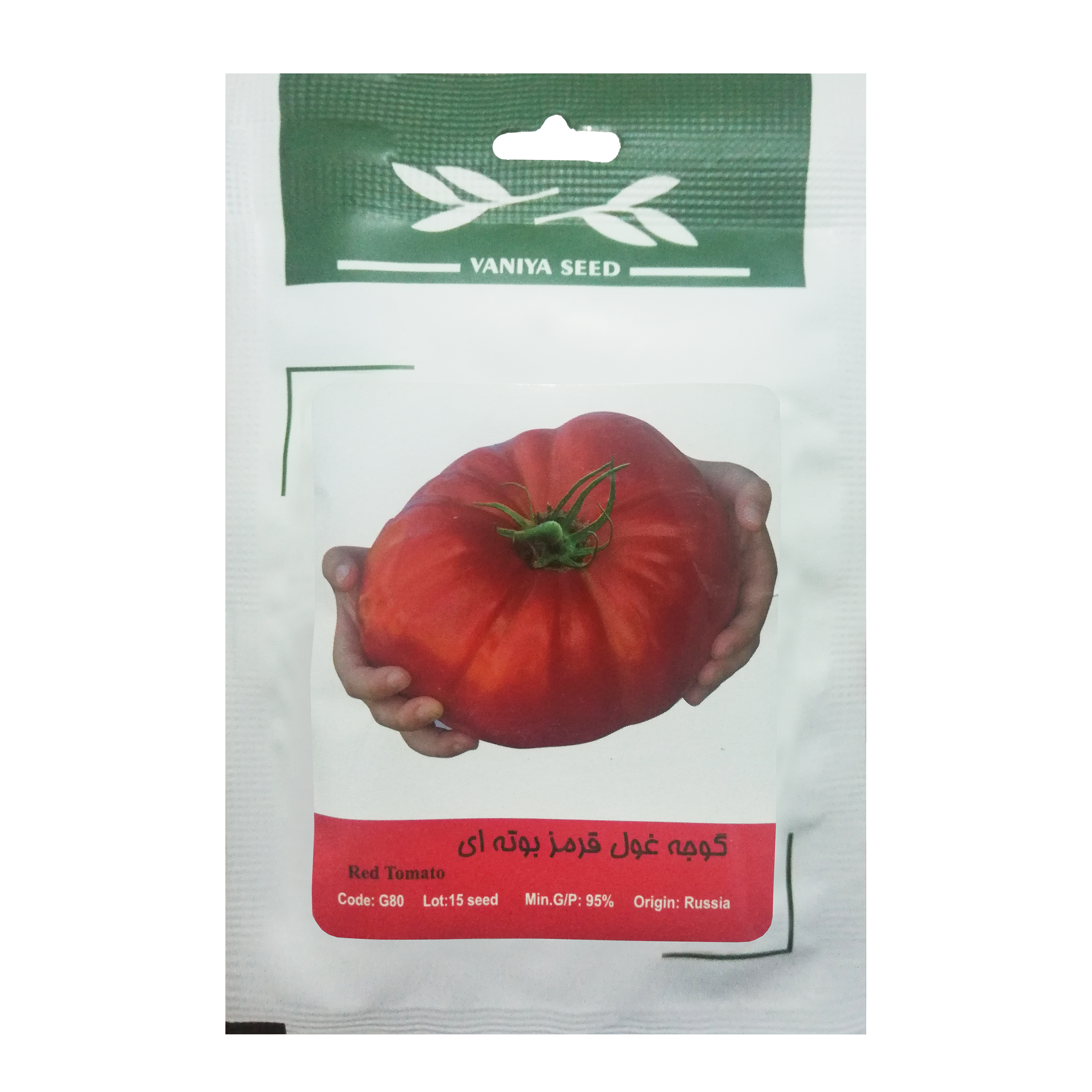 بذر گوجه غول قرمز  بوته ای وانیا سید مدل G80