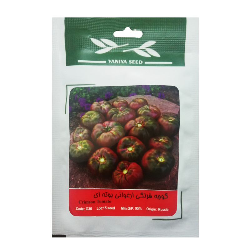 بذر گوجه فرنگی ارغوانی بوته ای وانیا سید مدل G36