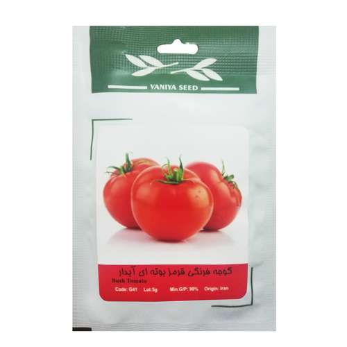 بذر گوجه فرنگی قرمز بوته ای آبدار وانیا سید مدل G41