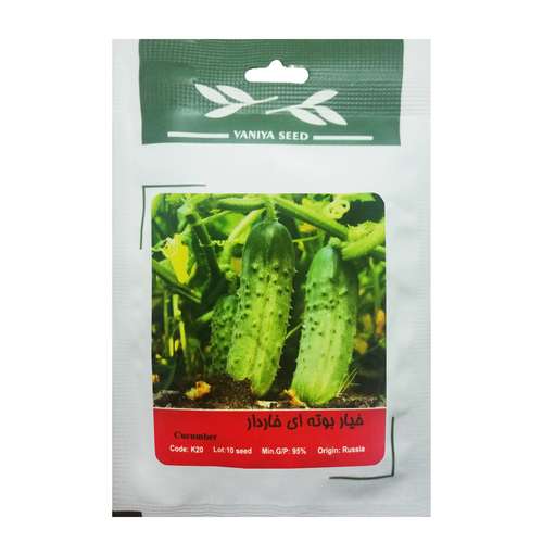 بذر خیار بوته ای خاردار وانیا سید مدل K20